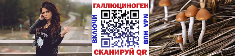 Галлюциногенные грибы GOLDEN TEACHER  Купить где  Сертолово 
